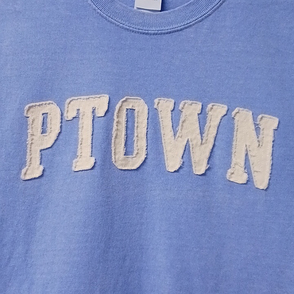 Gildan PTOWN Cotton Blue T-Shirt Size S - Picture 3 of 10